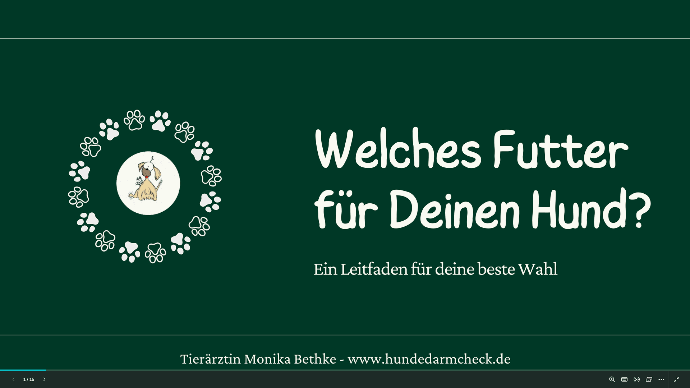 Welches Futter für Deinen Hund?