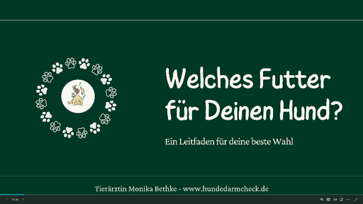 Welches Futter für Deinen Hund?