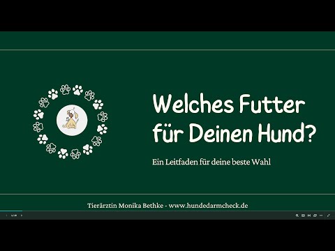 Welches Futter für Deinen Hund - Wie das Futter die Darmsanierung unterstützt.Welches Futter für Deinen Hund?